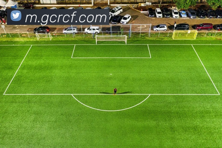 超凡国际平台生态图